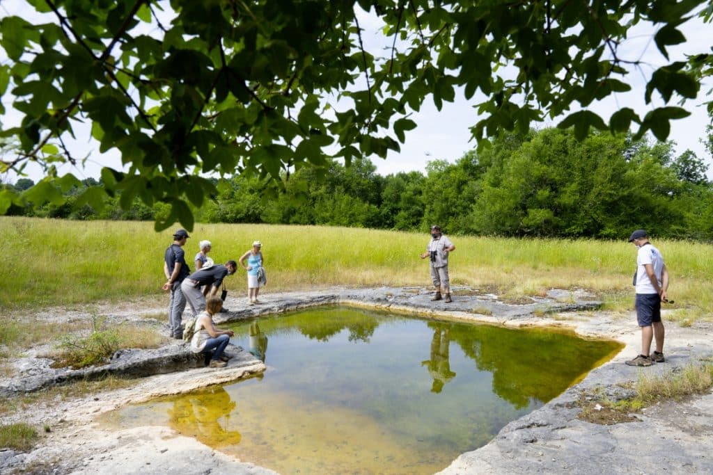 Le programme printanier des espaces naturels sensibles du Lot