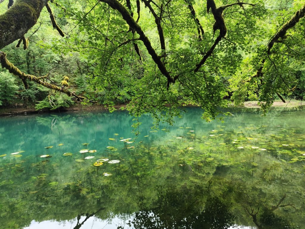 Par-delà les falaises et les rivières, balade sur le causse de Gramat