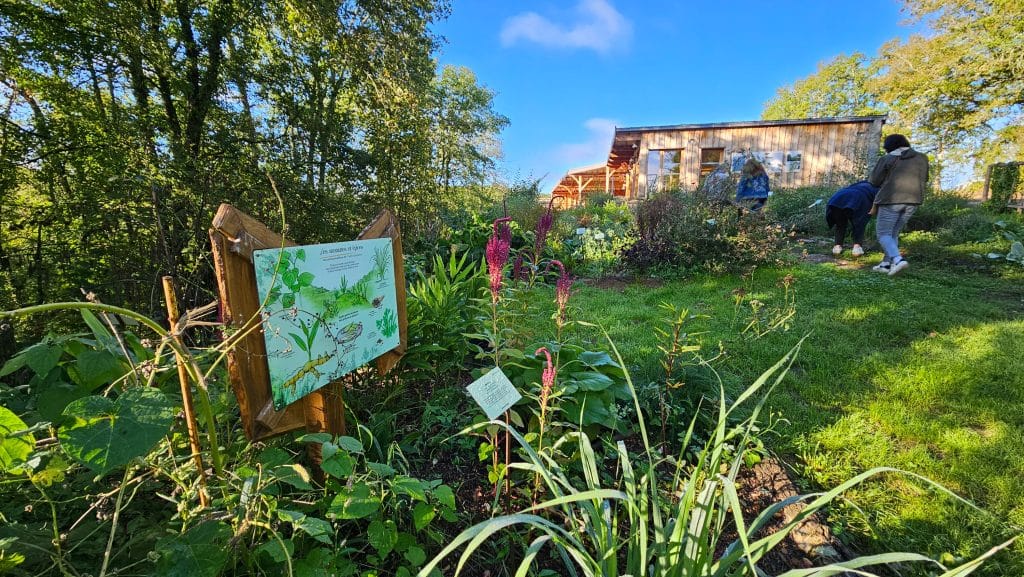 Les rendez-vous nature du Jardin Bourian : apprendre, observer et s’émerveiller tout l’été