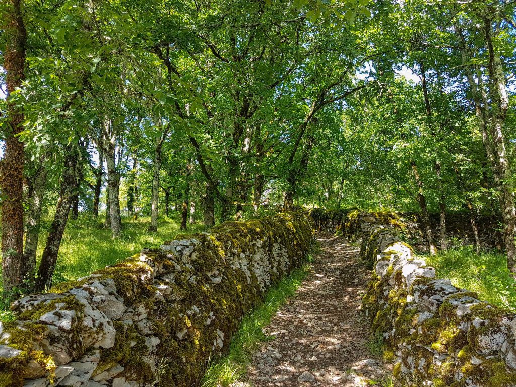 Photo : Circuit ENS de la Couasne de Floira - crédit Lot Tourisme - A. Leconte