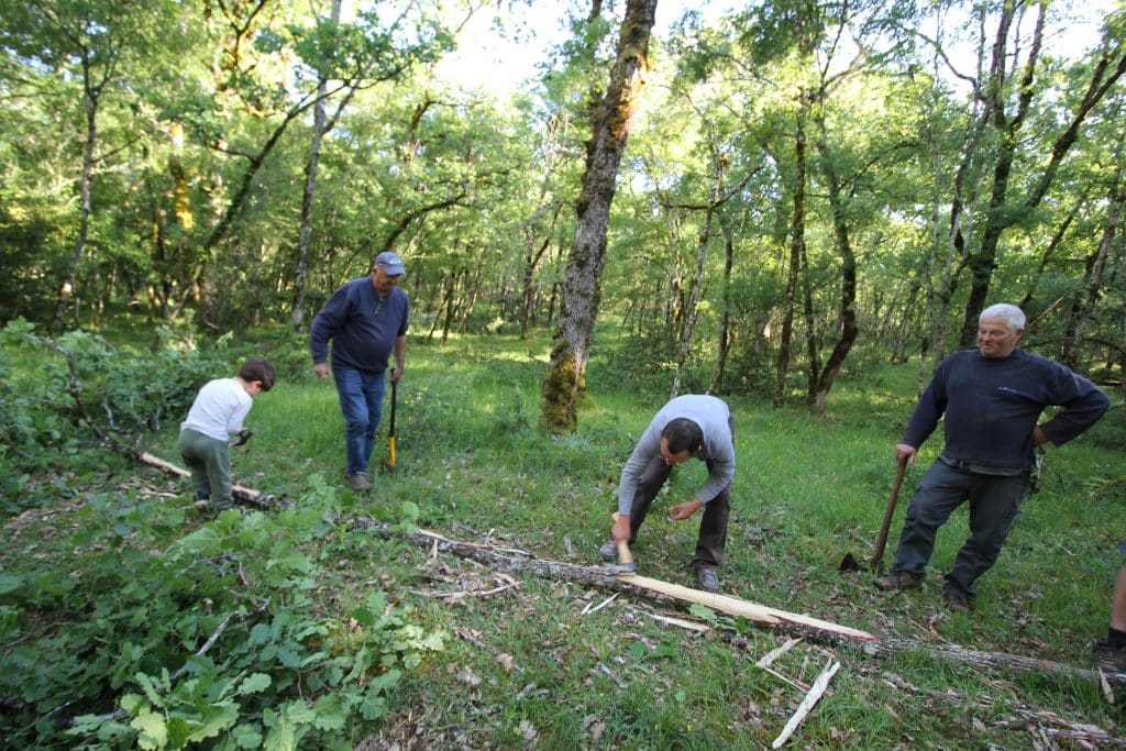RURALITÉ LOTOISE : Le mai d'honneur, une tradition renouvelée aux élections municipales