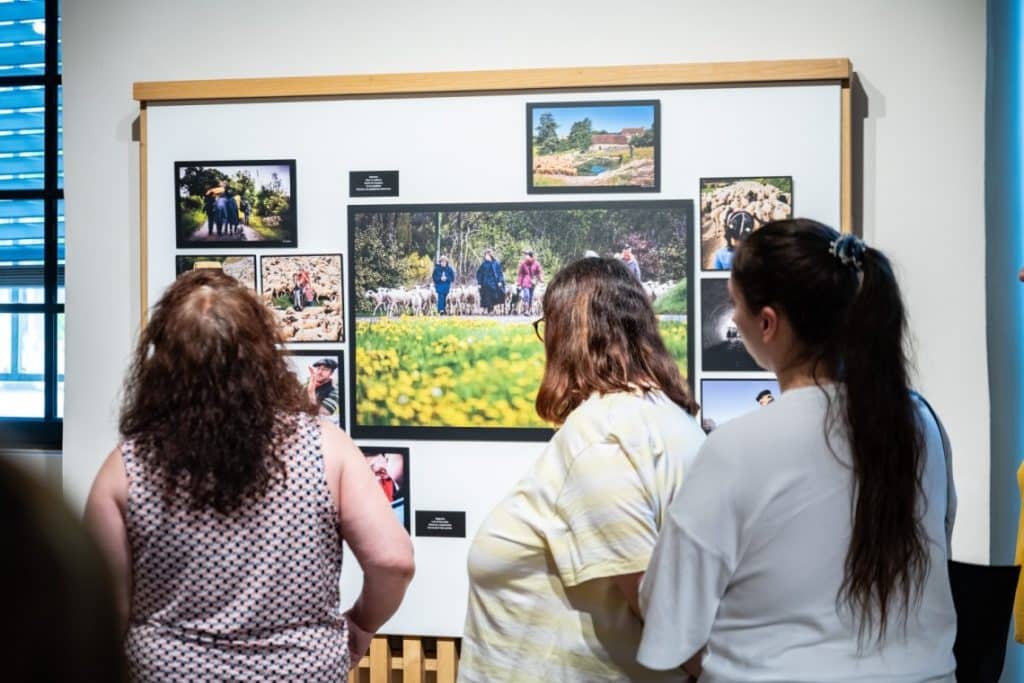Journées du patrimoine : suivez le parcours des animations autour du pastoralisme