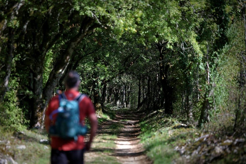 Escapade sur Causse