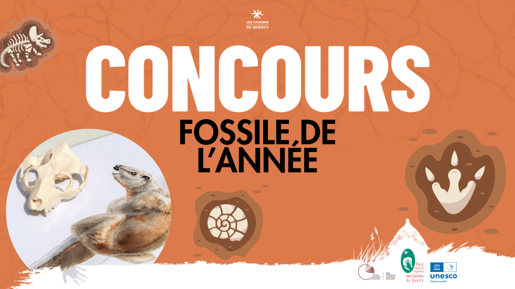 Dessinez votre fossile préféré et représentez les Causses du Quercy en Europe !